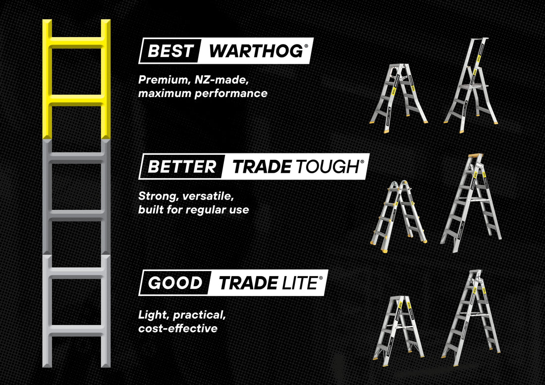 A GUIDE TO THE EASY ACCESS LADDER RANGE