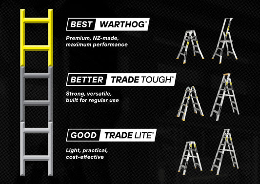 A GUIDE TO THE EASY ACCESS LADDER RANGE
