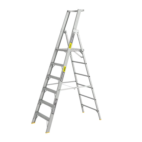 Easy Access TradeLite Platform Ladder