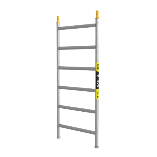 Easy Access MOBI Full Ladder Frame 800 Series
