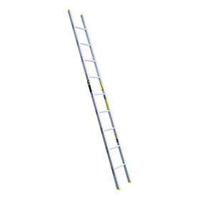 Extension scaffold ladder