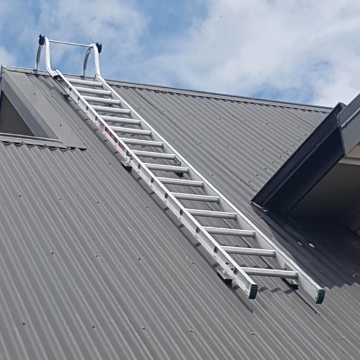 Roof ladder with hook